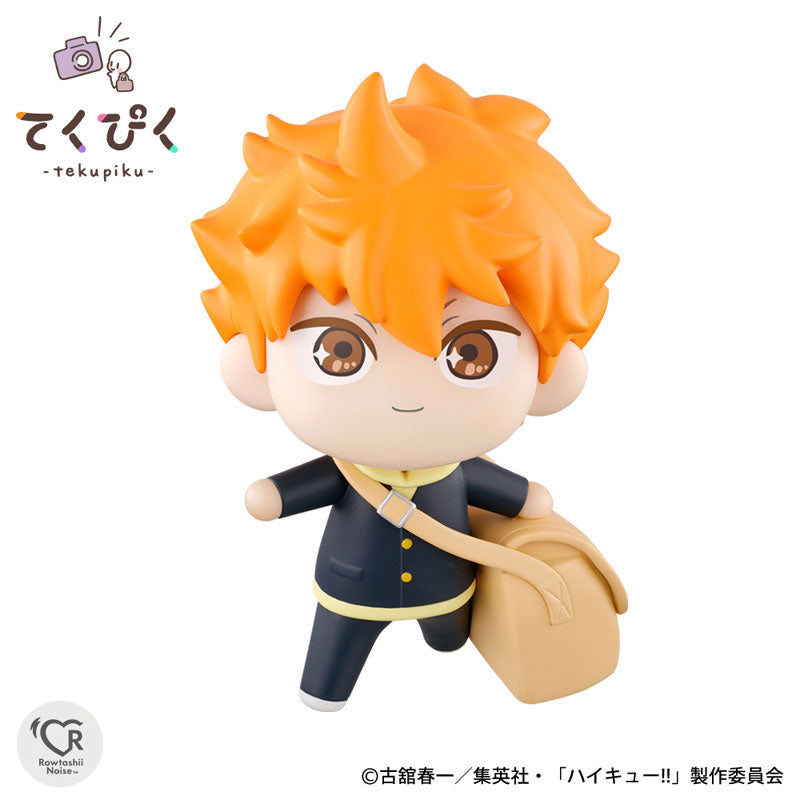 TakePic Shoyo Hinata “Haikyuu!!”