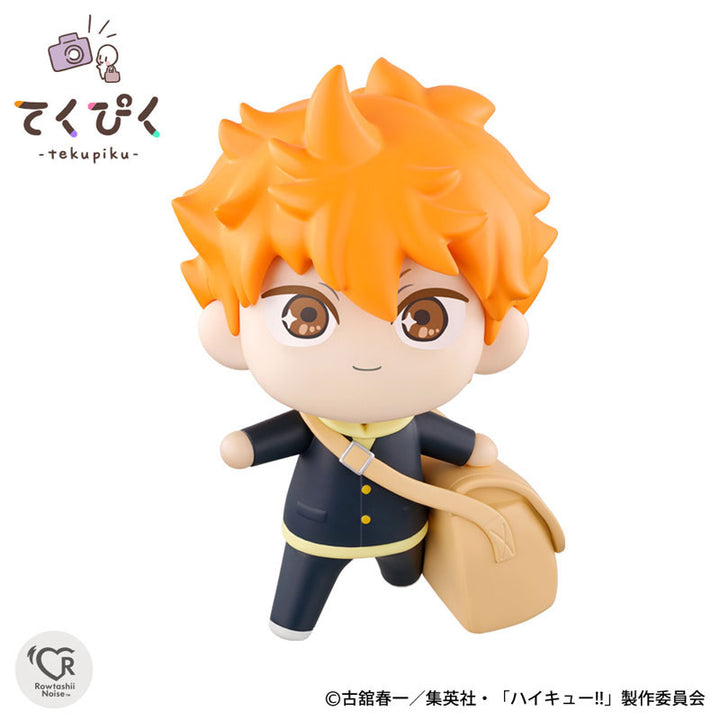TakePic Shoyo Hinata “Haikyuu!!”