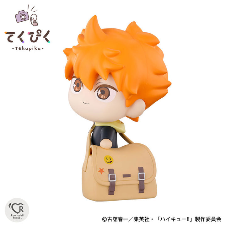 TakePic Shoyo Hinata “Haikyuu!!”
