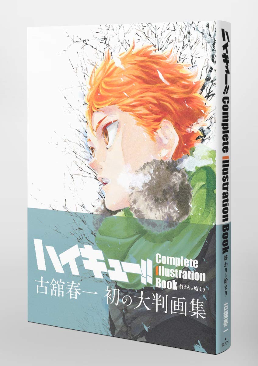 Artbook Haikyuu Complete Illustration Book the End & the Beginning