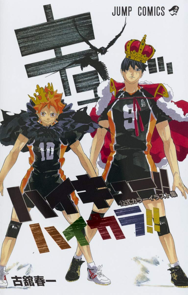Artbook Haikyuu Official Color Illustration Collection Haikara