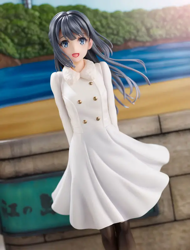 Rascal Does Not Dream of Bunny Girl Senpai Shoko Makinohara