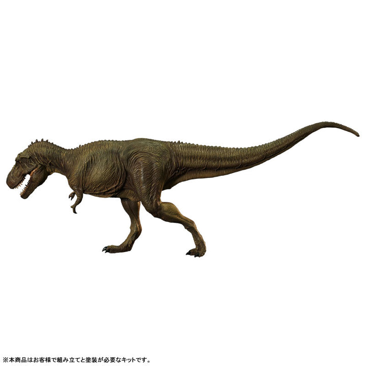 Tyrannosaurus Type B Middle Soft Vinyl Kit Reproduction Edition
