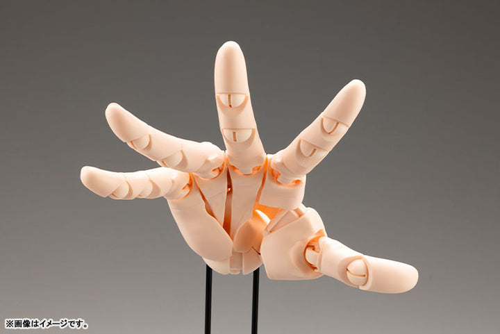ARTÍCULO DE APOYO DEL ARTISTA Takahiro Kagami MODELO DE MANO/L -NARANJA PÁLIDO- Figura de acción 