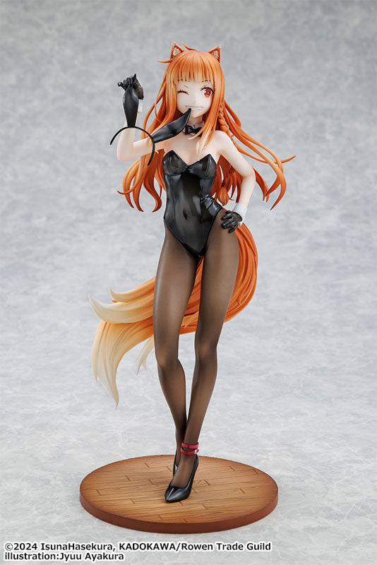 KDcolle Spice and Wolf: MERCHANT MEETS THE WISE WOLF Holo Light Novel bunny ver. illustration by Jyuu Ayakura 1/7