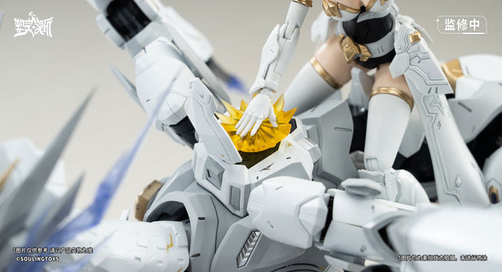 Daytime Meteor Plastic Kit