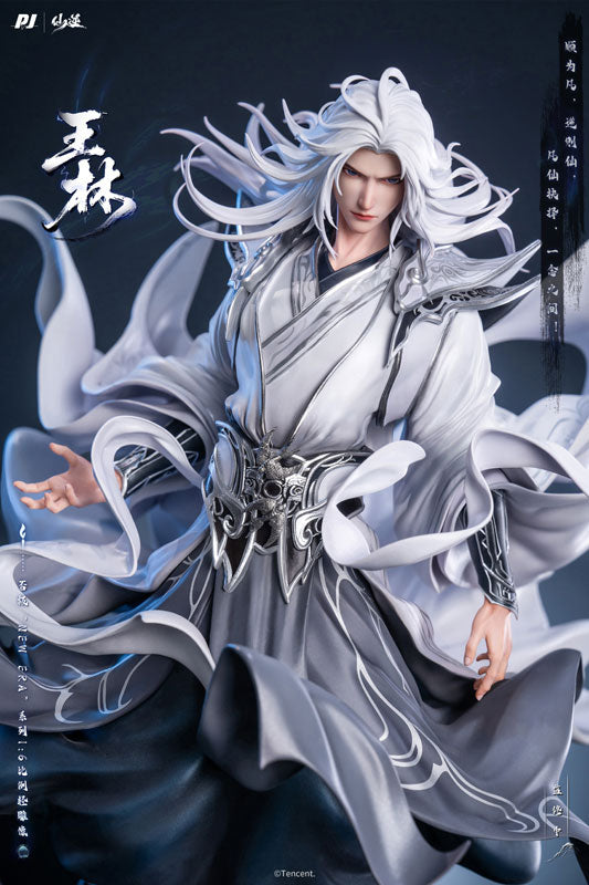 Renegade Immortal Wang Lin 1/6