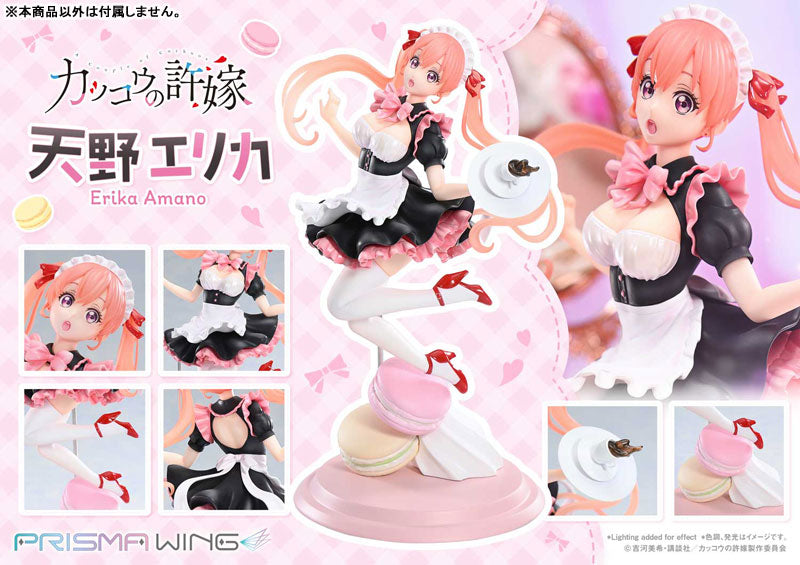 PRISMA WING A Couple of Cuckoos Erika Amano 1/7