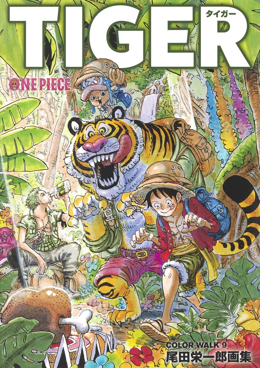 One Piece Illustration Collection COLORWALK 9 Vo
