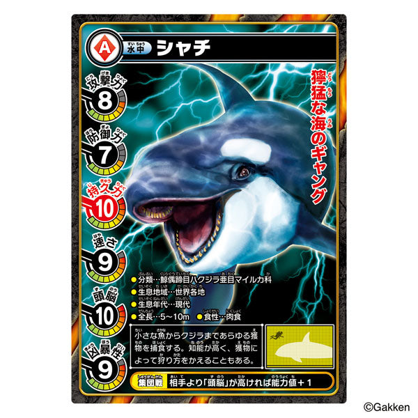 Saikyouou Zukan Saikyouou Battle Soft Vinyl Killer Whale