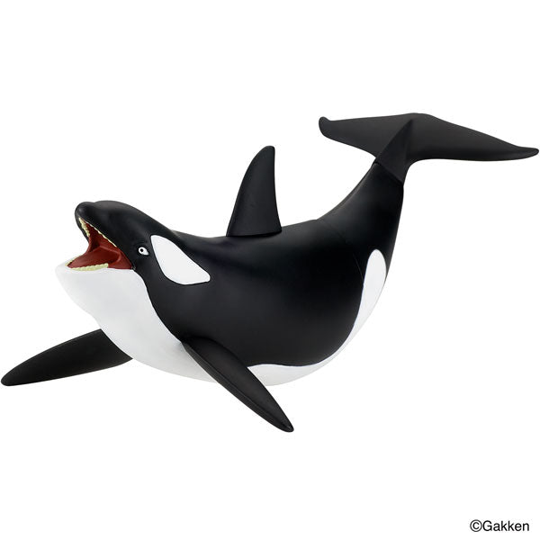 Saikyouou Zukan Saikyouou Battle Soft Vinyl Killer Whale