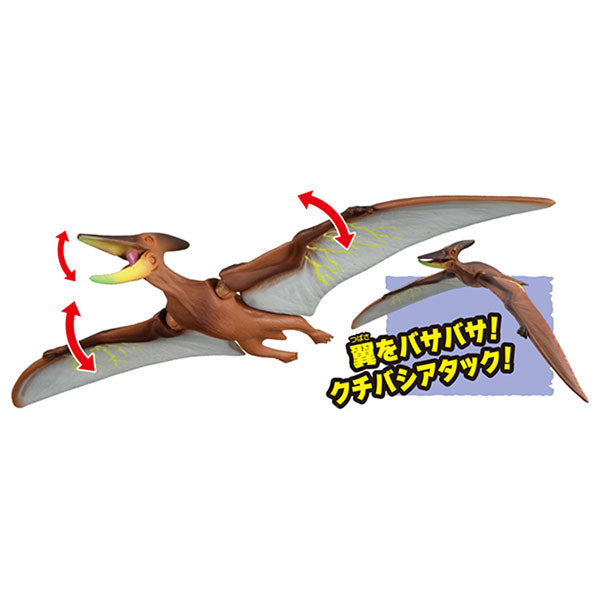 Adventure Continent Ania Kingdom Pteira (Pteranodon)
