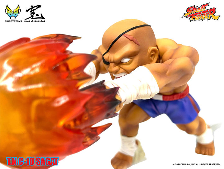 Street Fighter T.N.C-10- Sagat 