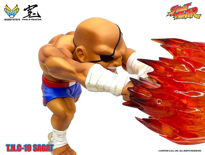 Street Fighter T.N.C-10- Sagat 