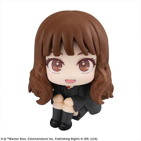 LookUp Harry Potter Hermione Granger 