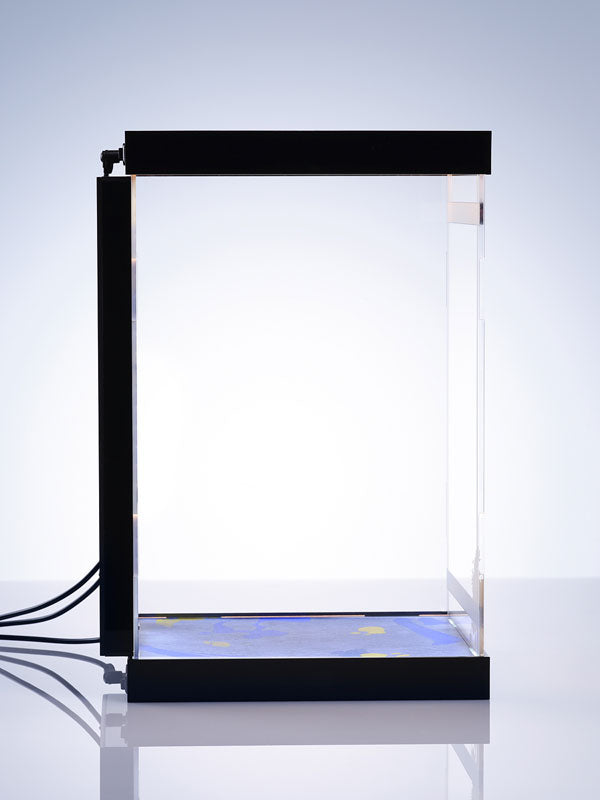 MIMEYOI Designated Display Case for Bache