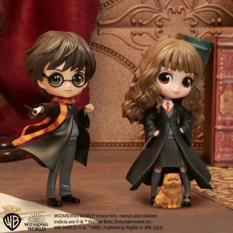 Harry Potter & Hermione Granger