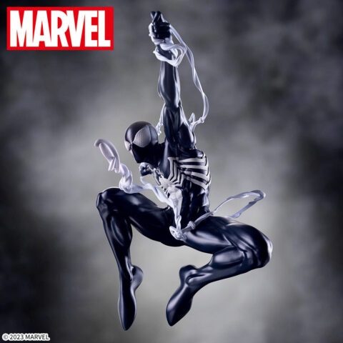 Black Costume Spider -Man